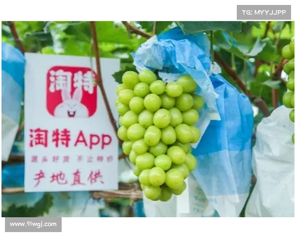 意甲今日动态:加图索谈世界杯晋级形势 尤文欲挖米兰队长引发关注 意甲今日动态:加图索谈世界杯晋级形势 尤文欲挖米兰队长引发关注